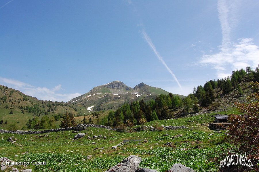 14 Campione e Campioncino verdi a primavera.jpg